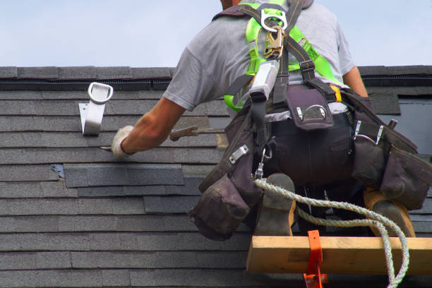 Best Shingle Roofing Installation  in Three Oaks, MI