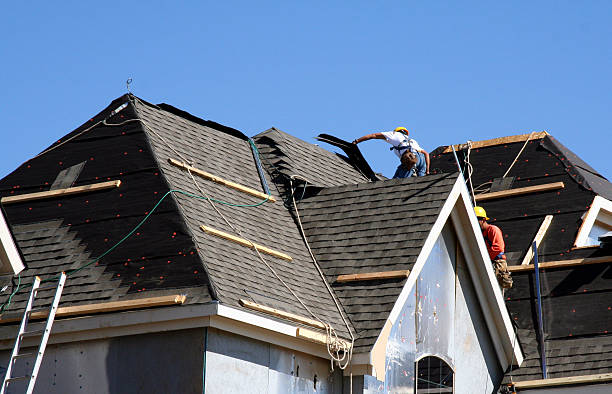 Best Roof Gutter Cleaning  in Three Oaks, MI
