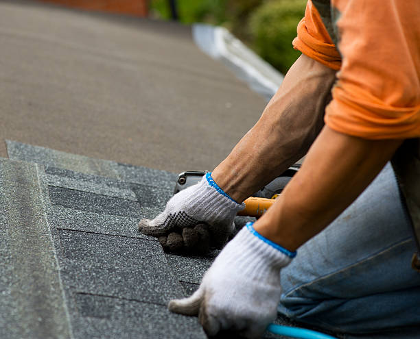 Quick and Trustworthy Emergency Roof Repair Services in Three Oaks, MI