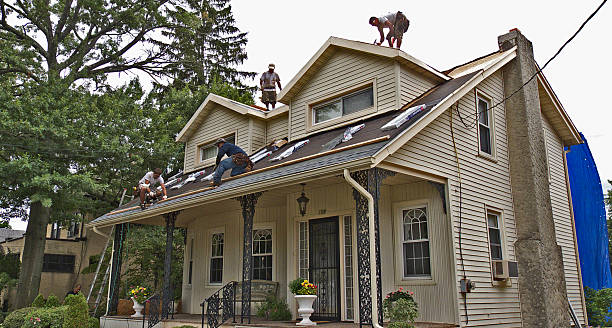 Best Roof Maintenance Services  in Three Oaks, MI