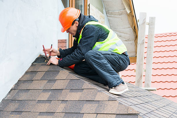 Best Roof Leak Repair  in Three Oaks, MI