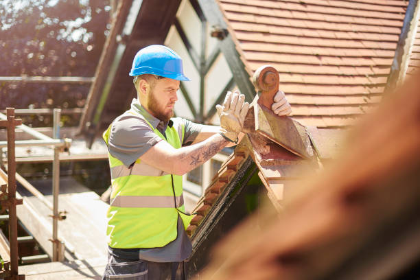 Best Roof Gutter Cleaning  in Three Oaks, MI